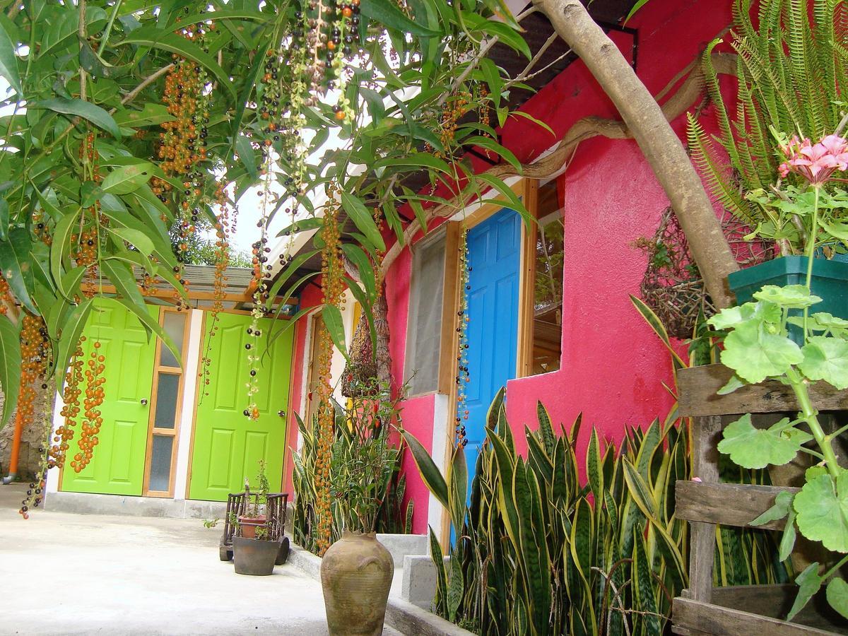 Casa Gitana Hostel & Traveler'S Home Antigua Exterior photo